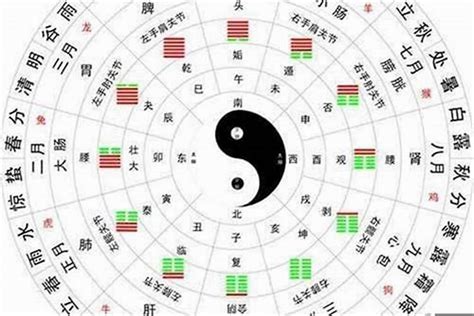 木火金水|八字五行论命，“金水”旺和“木火”旺到底有何不同？